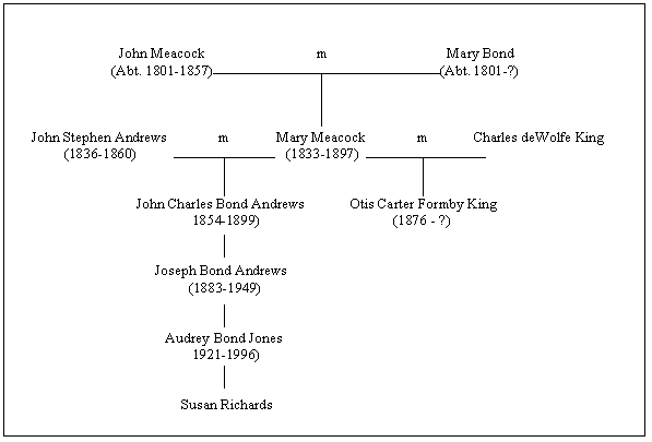 Otis King Family Tree